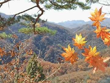米非司酮片全国药店微信开盘：美股周一低开 标普500指数九连涨恐终结